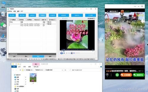 爆料三亚视频下载软件,一键获取海量精彩瞬间  第3张