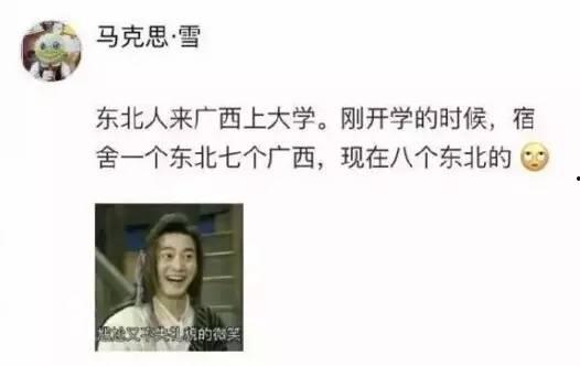 东北土话爆料视频下载,揭秘东北方言魅力与生活趣事 第1张 东北土话爆料视频下载,揭秘东北方言魅力与生活趣事 第1张