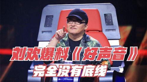 刘欢爆料好声音视频完整版,完整版视频曝光，精彩瞬间不容错过  第3张