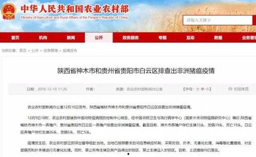 猪瘟最新爆料消息,揭秘病毒传播途径与防控措施 第3张 猪瘟最新爆料消息,揭秘病毒传播途径与防控措施 第3张