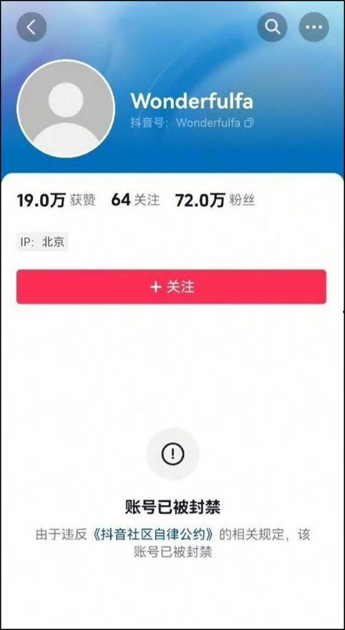 娱乐博主爆料直播,直播幕后惊人内幕大揭秘！