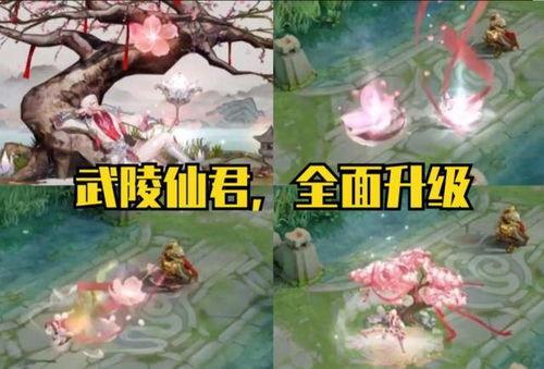 武陵仙君优化最新爆料,揭秘神秘爆料背后的华丽蜕变  第2张