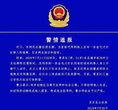 爆料残疾人被欺负视频播放,网络曝光引发社会关注  第2张
