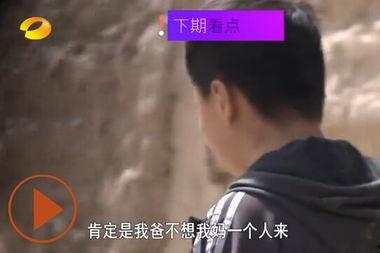 在线观看变形记,穿越时空的奇幻之旅  第3张