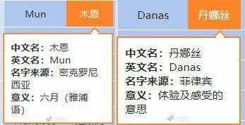 最新台风爆料新闻视频大全,视频大全揭示风雨肆虐下的惊心动魄  第3张