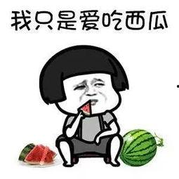 娱乐吃瓜君什么瓜,娱乐圈最新重磅瓜料大公开！  第2张