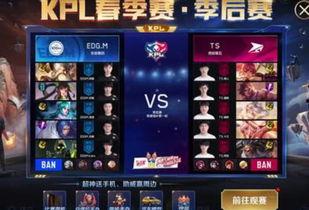 竞猜皮肤最新爆料,神秘皮肤即将揭晓，揭秘背后故事与设计理念
