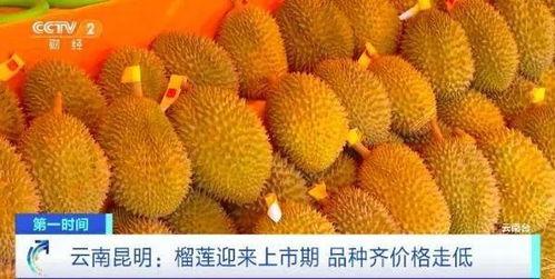 榴莲加工爆料视频播放,视频带你领略独特风味制作过程  第2张
