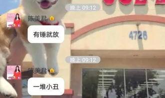 小姐姐最新爆料图片,惊艳瞬间，美得让人心动