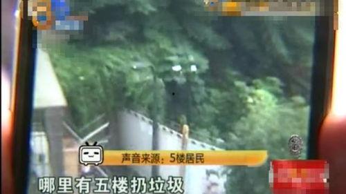 竹林小区新闻爆料事件视频,视频揭露惊人真相  第3张