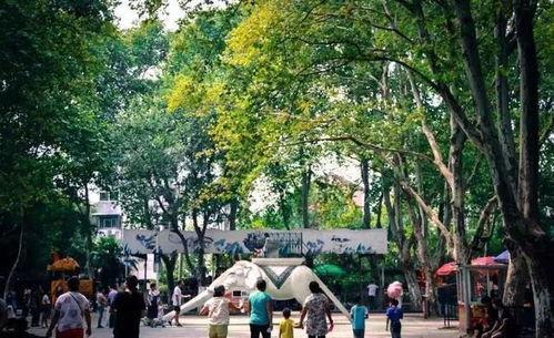 合肥公园爆料事件视频,惊人一幕引发社会关注 第3张 合肥公园爆料事件视频,惊人一幕引发社会关注 第3张