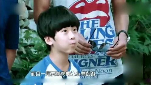 娱乐八卦爆料恋情配音,恋情曝光引粉丝热议  第3张