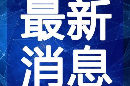 巡茶最新爆料新闻视频下载,最新爆料新闻视频深度解析