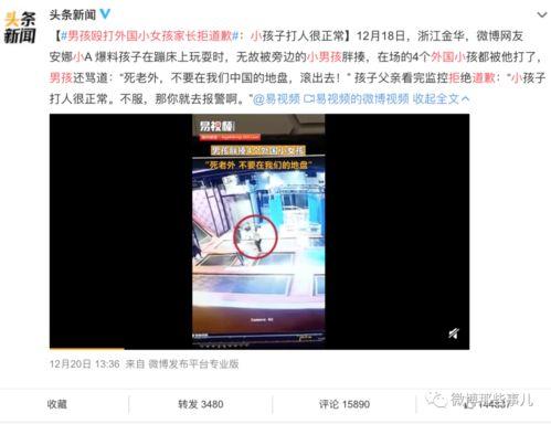 麻城网红爆料事件视频,揭秘背后真相与网络舆论风暴  第2张