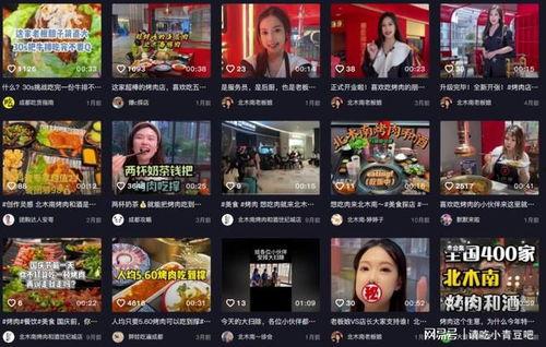 餐厅爆料视频大全最新,一窥美食背后的秘密与真相