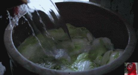 爆料酸菜的视频大全教程,轻松掌握酸菜制作技巧 第3张 爆料酸菜的视频大全教程,轻松掌握酸菜制作技巧 第3张