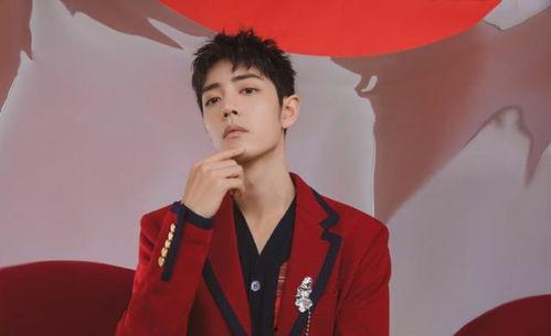 爆料最新肖战王一博,神秘合作引粉丝热议  第3张