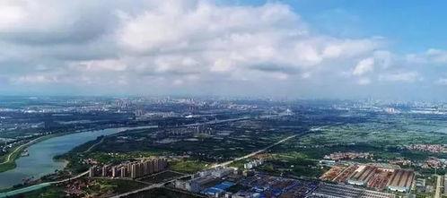 武汉蔡甸爆料视频,揭秘社区生活背后故事  第3张