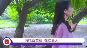 春天里31集在线观看,揭秘剧情高潮与情感纠葛  第3张