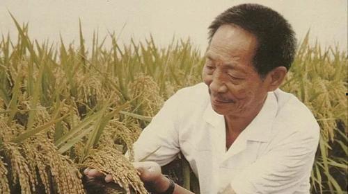 网友爆料袁隆平视频大全,一生耕耘,造福亿万苍生 第2张 网友爆料袁隆平视频大全,一生耕耘,造福亿万苍生 第2张
