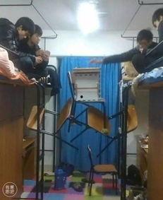 宿舍奇葩爆料视频下载,揭秘校园生活里的那些奇葩爆料瞬间