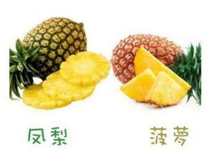 凤梨爆料视频完整版,事件真相与幕后故事大起底