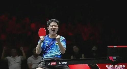 达鲁伊爆料节目视频播放,揭秘幕后故事与精彩瞬间