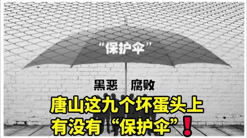 唐山大人爆料新闻最新消息,大人爆料揭示惊人内幕 第3张 唐山大人爆料新闻最新消息,大人爆料揭示惊人内幕 第3张