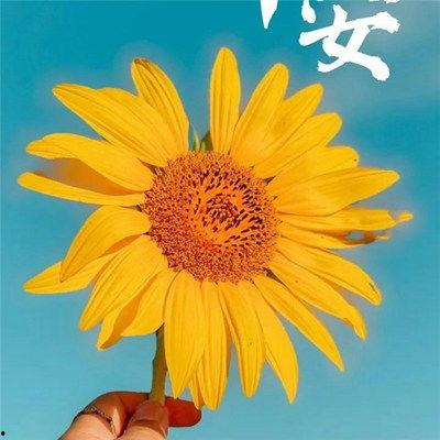 早安最新爆料图片高清,高清爆料图片揭秘,带你一睹为快! 第3张 早安最新爆料图片高清,高清爆料图片揭秘,带你一睹为快! 第3张