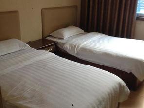 白鹭旅馆涌在线观看,在线揭秘神秘故事，沉浸式体验惊悚悬疑之旅  第3张