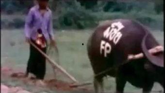 套套先生电影在线观看,一场激情四溢的在线观影之旅  第2张