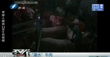 突崽视频爆料,娱乐圈幕后真相大曝光