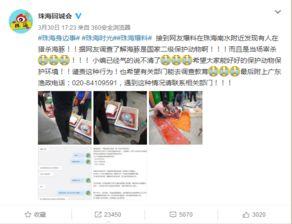 突崽视频爆料,娱乐圈幕后真相大曝光  第2张