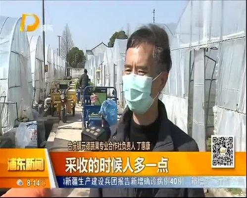 八村最新爆料新闻视频,揭秘背后惊人真相！  第3张