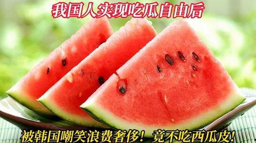 韩国人免费吃瓜,全民免费共享“吃瓜”盛宴 第3张 韩国人免费吃瓜,全民免费共享“吃瓜”盛宴 第3张