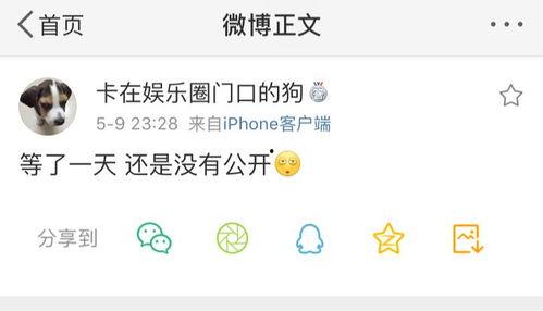 最新爆料泄密吃瓜,最新爆料泄密事件，吃瓜群众狂欢时刻！  第2张