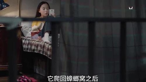 迪拜小姐姐爆料视频播放,揭秘迪拜生活幕后真相 第2张 迪拜小姐姐爆料视频播放,揭秘迪拜生活幕后真相 第2张