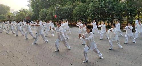 今日太极拳热点爆料新闻,揭秘古老技艺的现代魅力与传承之路  第3张