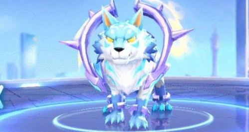 qq飞车宠物最新爆料,神秘宠物即将登场，激战赛道再添新伙伴！  第3张