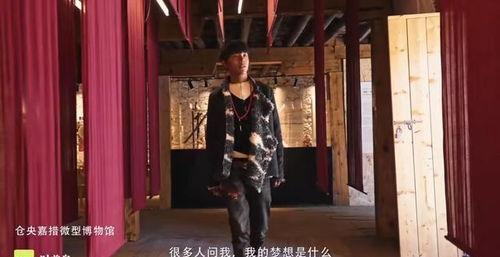 藏族男孩被爆料视频播放,揭开神秘面纱背后的真相