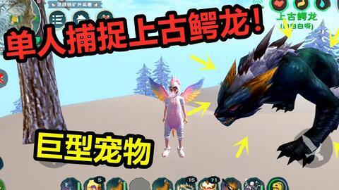 捉战龙吃瓜视频大全集免费观看 第3张 捉战龙吃瓜视频大全集免费观看 第3张