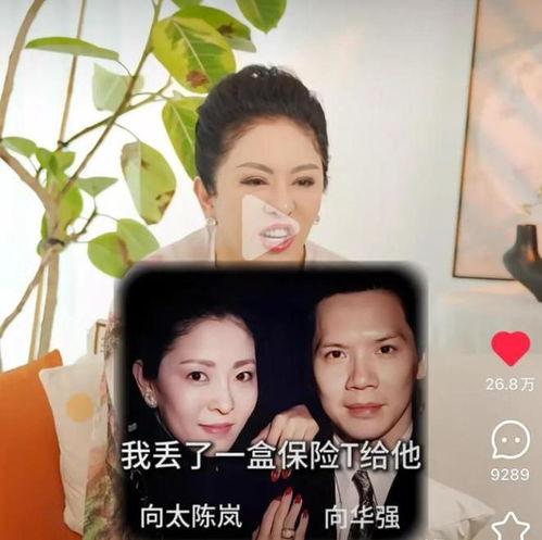 娱乐圈外遇爆料事件,真相与舆论的漩涡  第3张