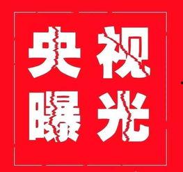 爆料假货搞笑视频,揭秘网络购物陷阱 第3张 爆料假货搞笑视频,揭秘网络购物陷阱 第3张