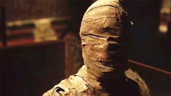 木乃伊2在线观看土豆