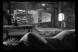 砂之女在线观看,探寻神秘女性的奇幻之旅  第2张