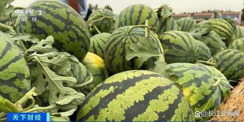 山东吃瓜事件网红,网络舆论的风暴与反思 第3张 山东吃瓜事件网红,网络舆论的风暴与反思 第3张