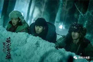 黄皮子坟在线观看,探寻神秘古墓的惊悚之旅