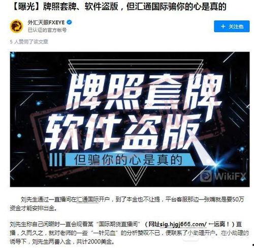 外汇天眼爆料视频,最新爆料视频深度解析