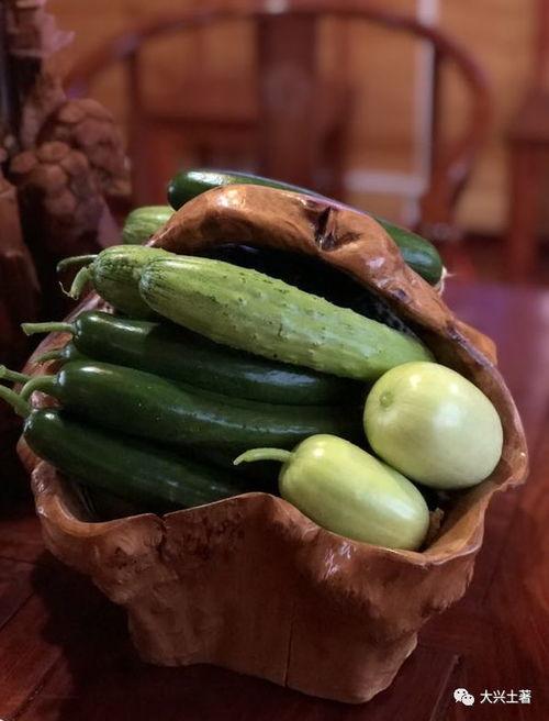 娱乐网红吃瓜,娱乐圈幕后故事一网打尽  第2张