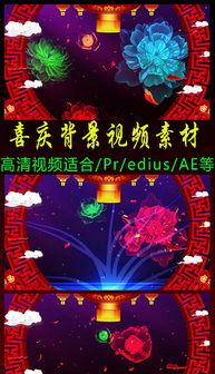 春节爆料视频大全集下载,精彩瞬间一网打尽  第3张